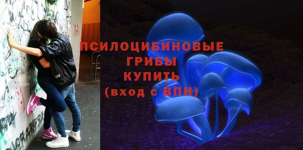 дурь Заводоуковск