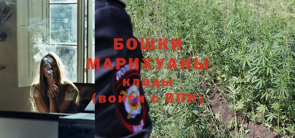 каннабис Заволжск