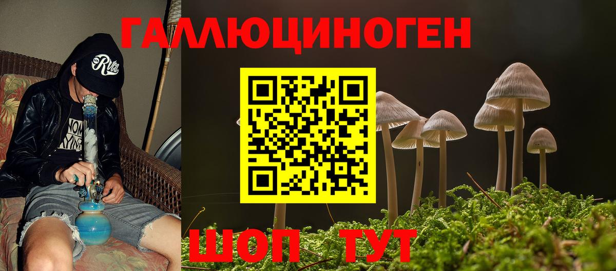 Псилоцибиновые грибы Psilocybe Пыть-Ях